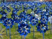 Photo of numerous blue pinwheels in a large grassy field.